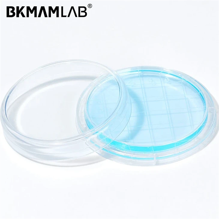 BKMAM RODAC Plates With Curved Bottom